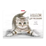 Альбом для рисования 40л., А4, на склейке, обл.- мелов. картон, плотность170г/кв.м, ErichKrause.Кот