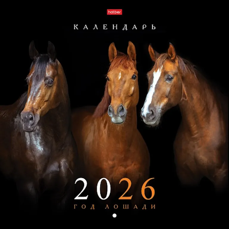 Тетрадь А5, 48 листов, клетка, гребень, ArtSpace "Моноколор. Colorblock", об. мелов. картон