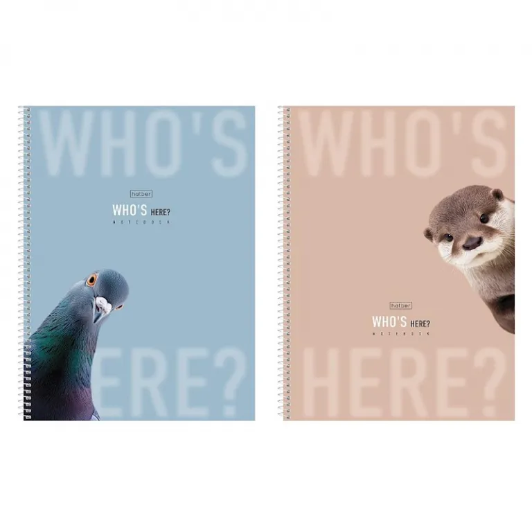 Тетрадь А5, 48 листов, клетка, гребень, ArtSpace "Моноколор. Colorblock", об. мелов. картон