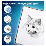 Скетчбук-блокнот 145х203мм, 80 л., вн. блок 80 г/м², кн.переплет, BRAUBERG, Россия — изображение 4