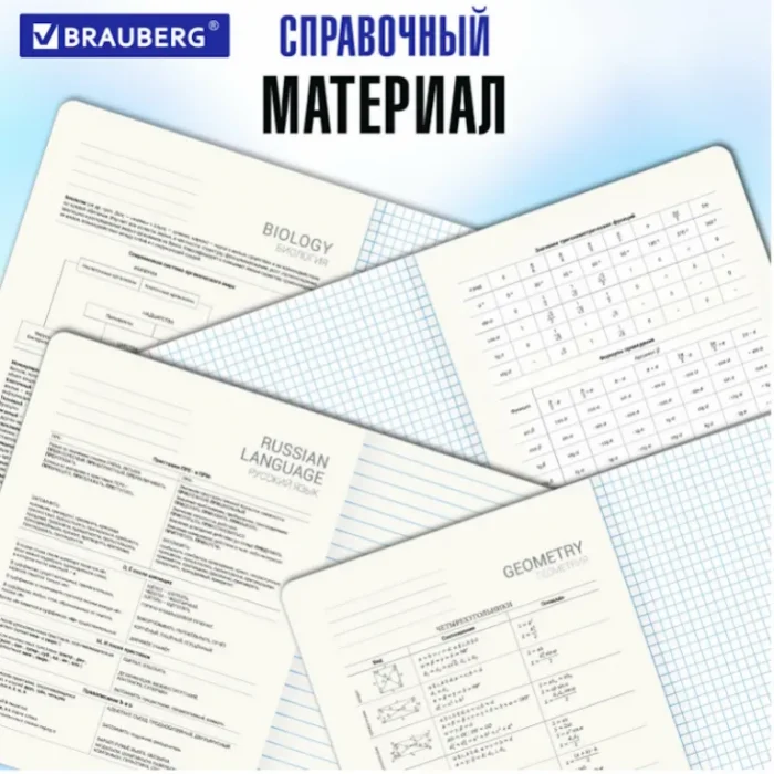 Набор предметных тетрадей, 12шт, 48л., BRAUBERG.Волшебный белый, обл. мелов. картон, глянцевый УФ-лак — изображение 10