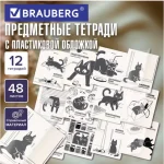 Набор предметных тетрадей, 12шт, 48л., BRAUBERG.Кот-непоседа, обл. пластик — изображение 6