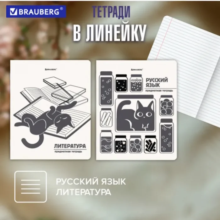 Набор предметных тетрадей, 12шт, 48л., BRAUBERG.Кот-непоседа, обл. пластик — изображение 9
