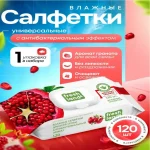Салфетки влажные Freshland с антибактериальным эффектом, крышка-клапан 120 шт (ЧЗ ОСУ)