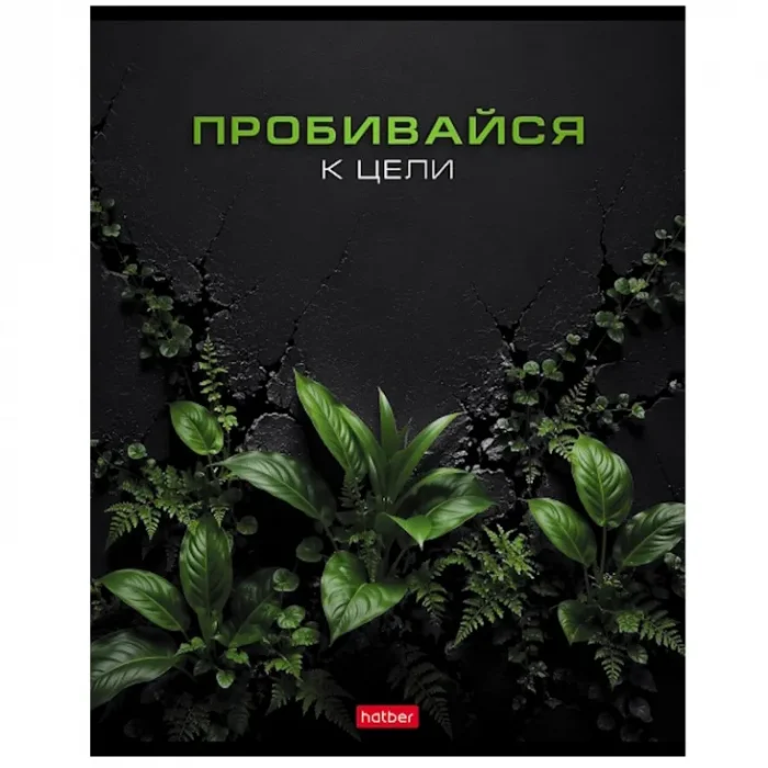 Тетрадь А5, 48 листов, клетка Hatber.Мотивация, обл.мелов. картон — изображение 6
